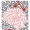 Kaip veikia smegenys (Stevenas Pinkeris)